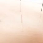 女性